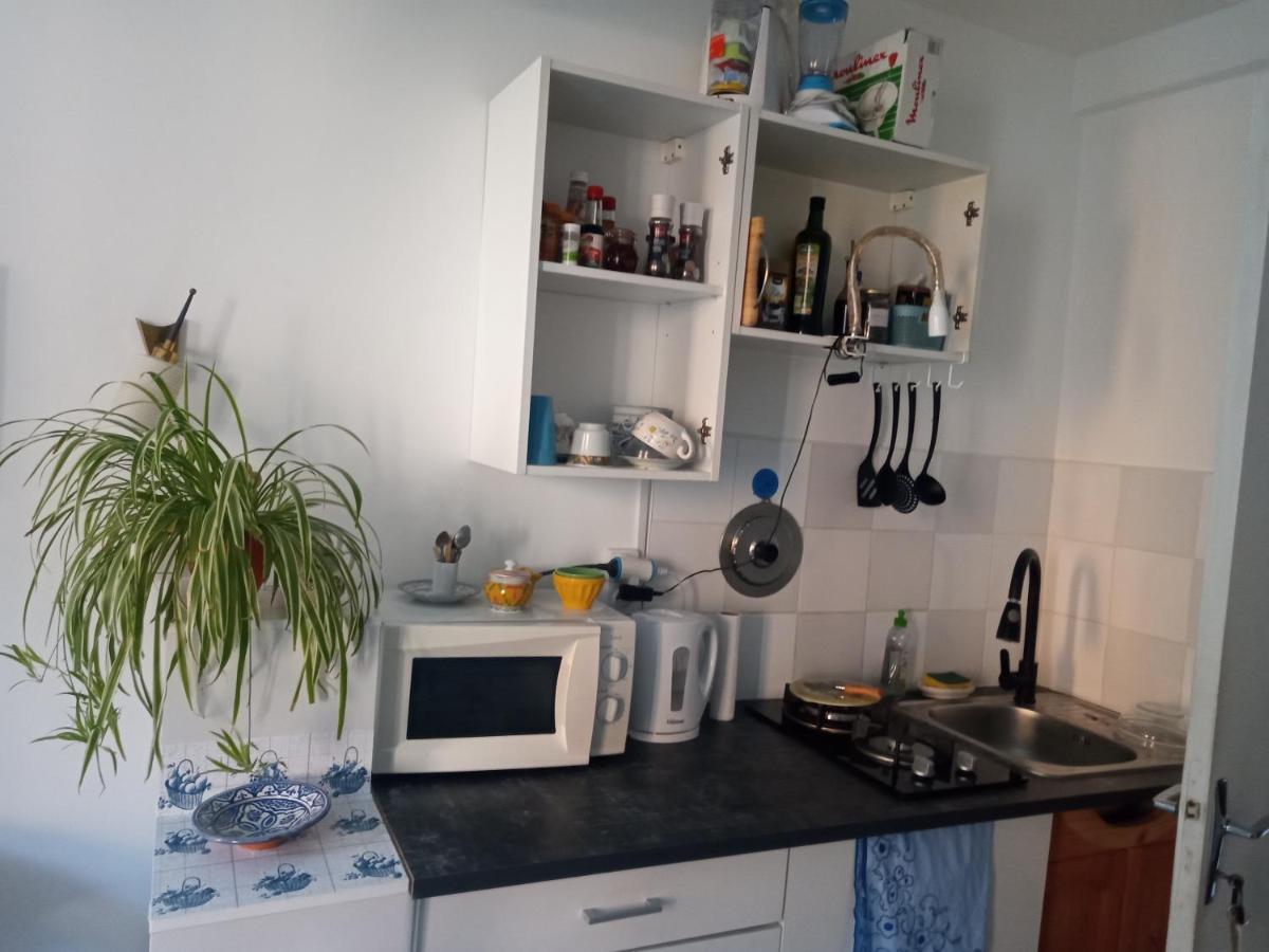 Tiny Studio Ariege Pyrenees Castelnau-Durban Экстерьер фото